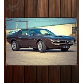 Металлическая табличка Alfa Romeo Montreal (105)